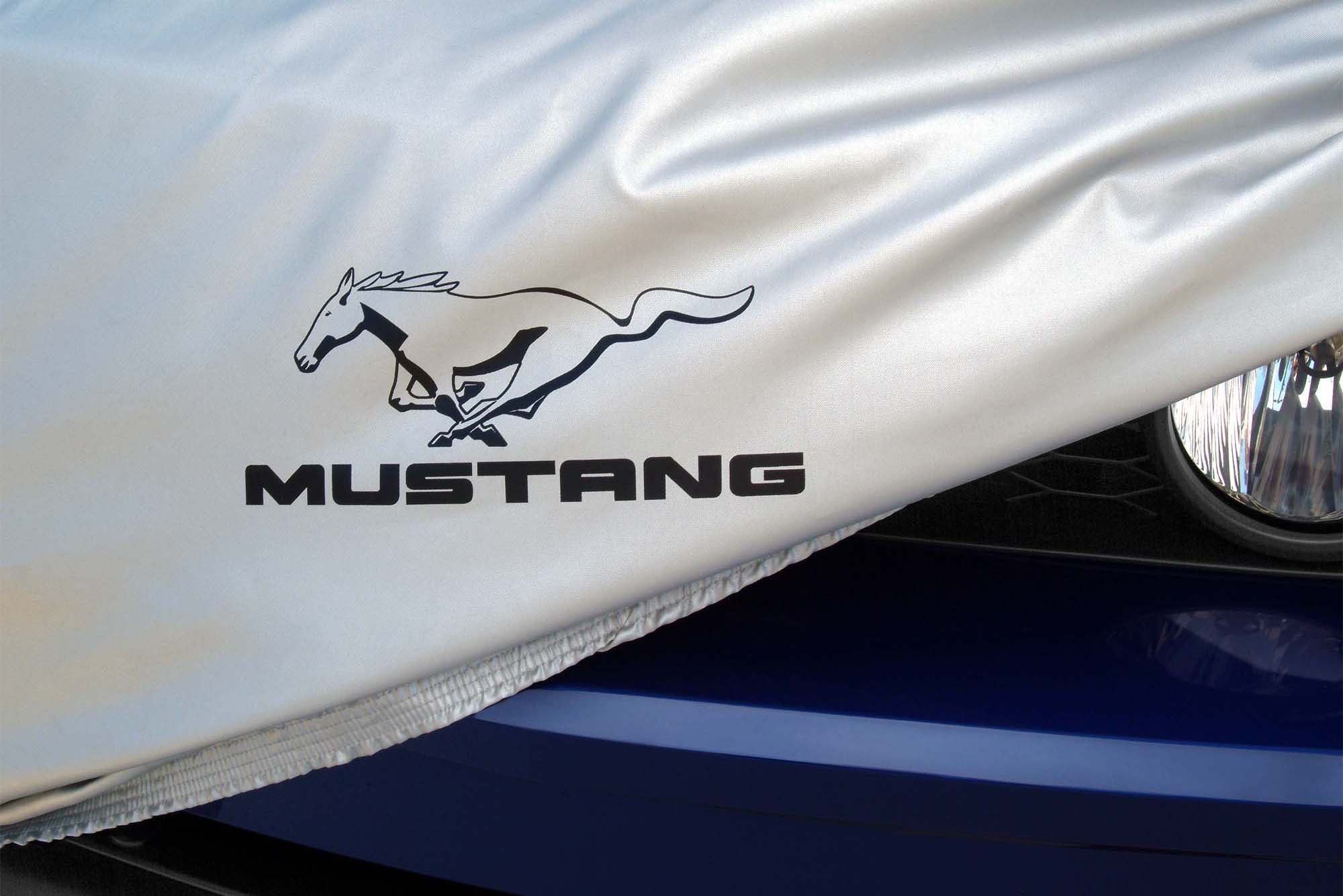 Sixteenth slide image